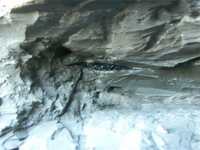 Whitby Jet